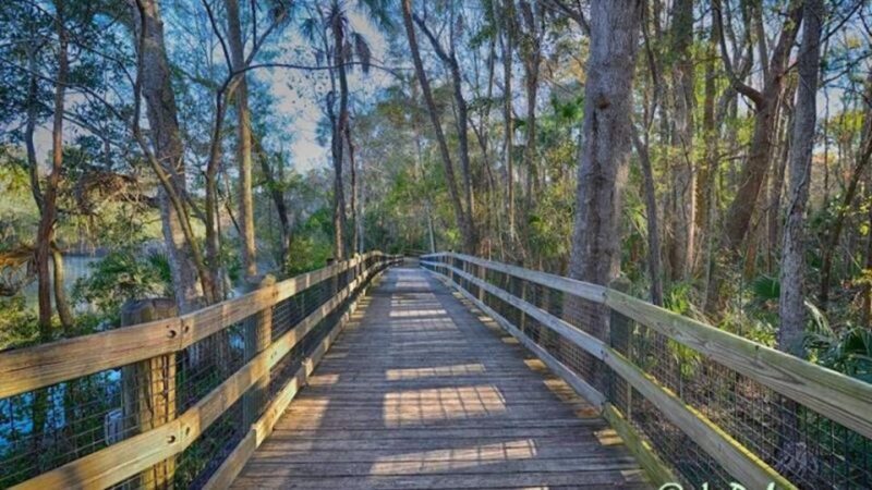 Orlando: Swim with Manatees and Homosassa State Park Visit - Authenticity and Family-Friendliness