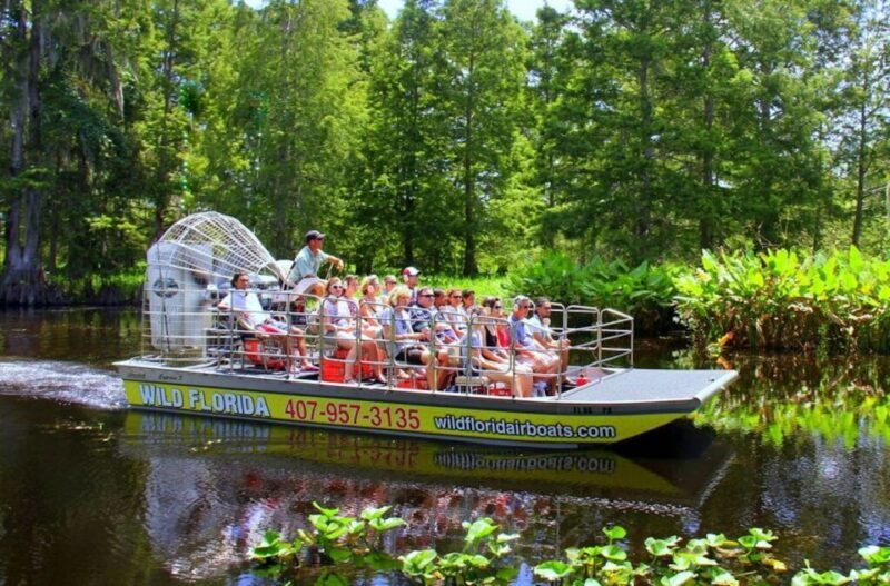 Orlando: Wild Florida Airboat Ride with Transport & Lunch - The Itinerary: What to Expect on Your Day