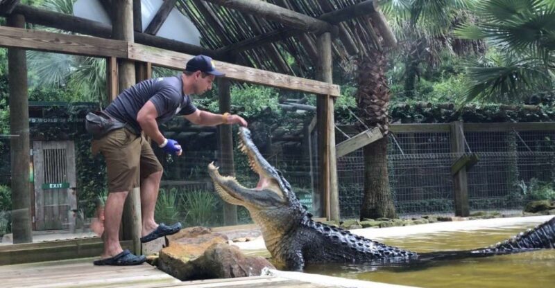 Orlando: Wild Florida Park Ticket and Gator Shows - The Practicalities: What to Know Before You Go