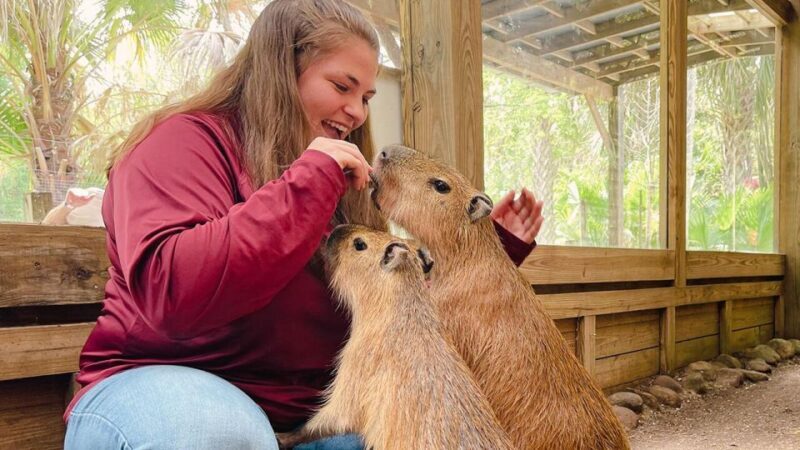 Orlando: Wild Florida Park Ticket and Gator Shows - Authentic Touches from Visitors