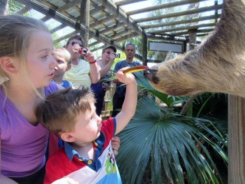 Orlando: Wild Florida Park Ticket and Gator Shows - The Sum Up: Why It’s a Good Value and Who It’s For