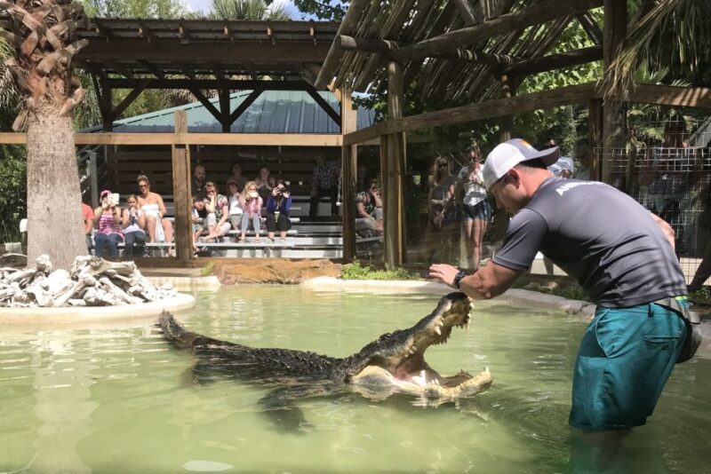 Orlando: Wild Florida Park Ticket and Gator Shows - FAQs