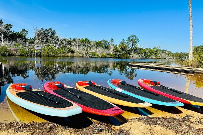 Ormond Beach Manatee and Nature Tour Kayaking or Paddle Boarding - Who Is This Tour Best For?