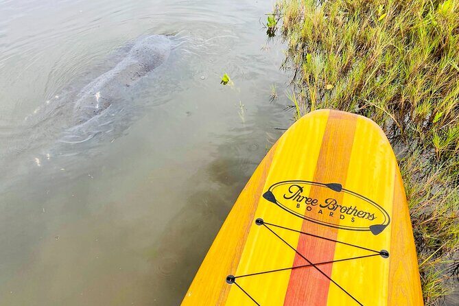 Ormond Beach Manatee and Nature Tour Kayaking or Paddle Boarding - FAQ