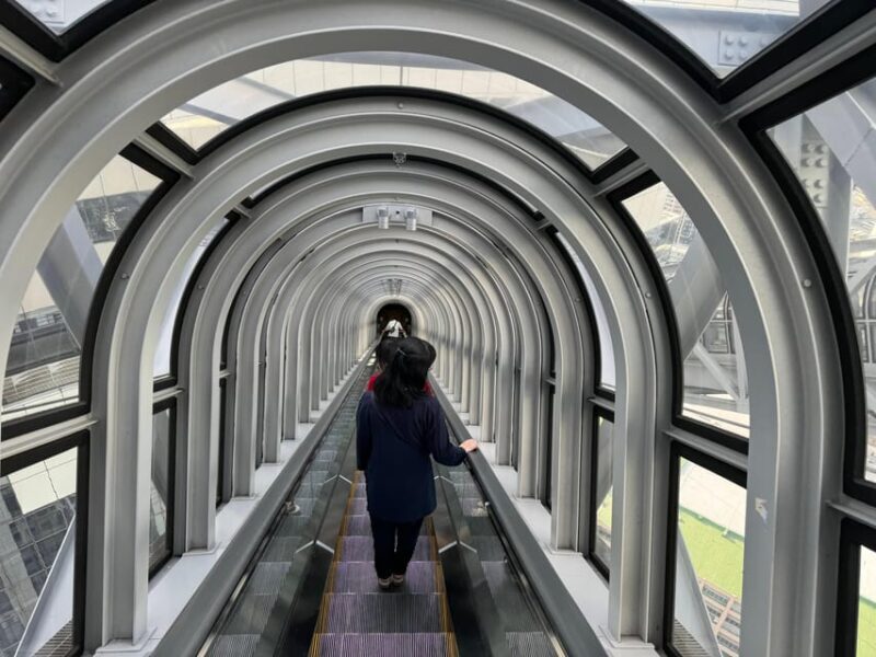 Osaka: 1-Day Guided Tour - Sky Bldg, Castle, Namba Shinsekai - Who Should Consider This Tour?