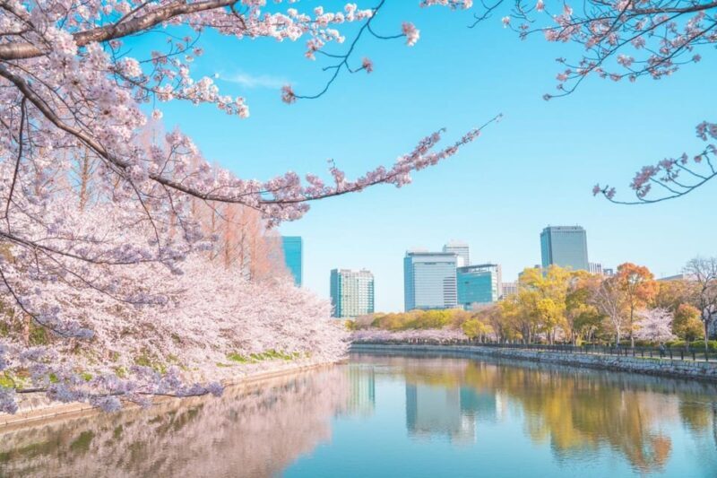 Osaka: 1-Day Private Customizable Trip by Car - Key Points