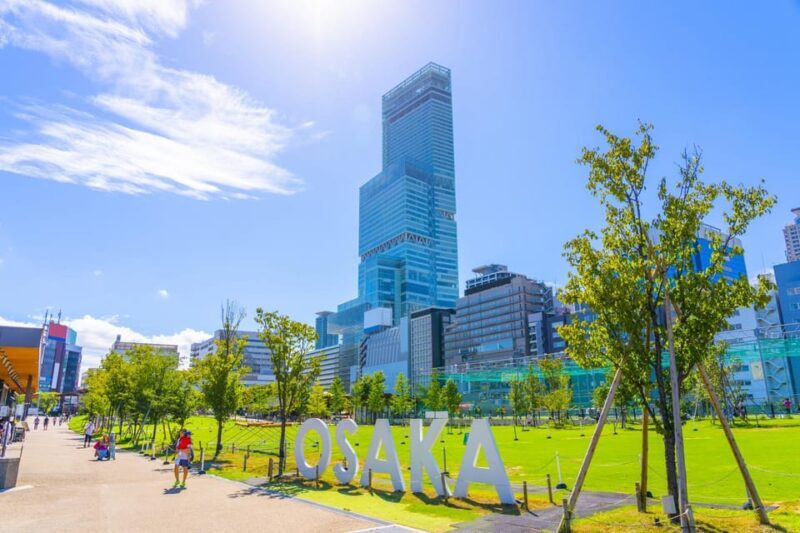 Osaka: 1-Day Private Customizable Trip by Car - The Practicalities of the Osaka Private Car Tour