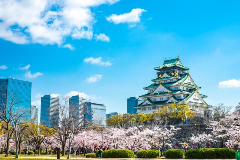 Osaka: 1-Day Private Customizable Trip by Car - What Makes This Tour Stand Out?