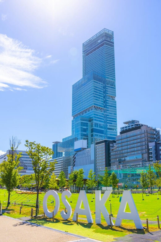 Osaka: 1-Day Private Customizable Trip by Car - Who Will Love This Tour?