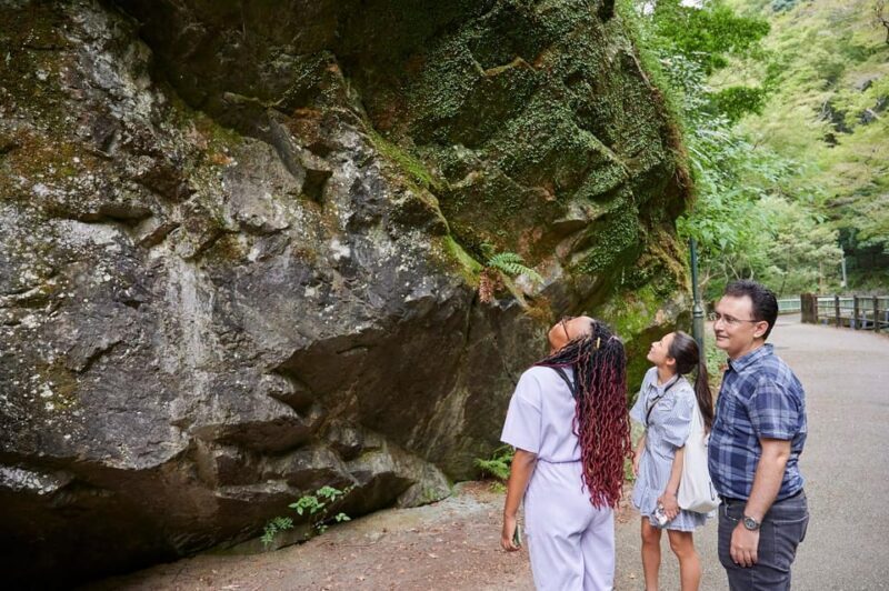 Osaka: 2.5-Hour Private Scenic Hike to Minoo Waterfall - Key Points