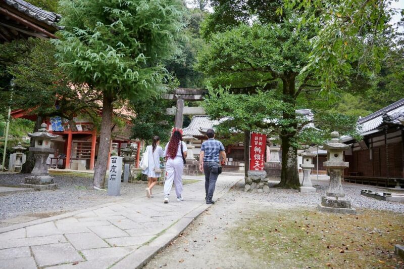Osaka: 2.5-Hour Private Scenic Hike to Minoo Waterfall - Introduction: Why This Hike Stands Out