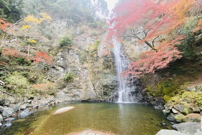 Osaka 8 Hours Tour Explore City and Minoh Falls - A Full Breakdown of the Tour: From City Skylines to Waterfalls