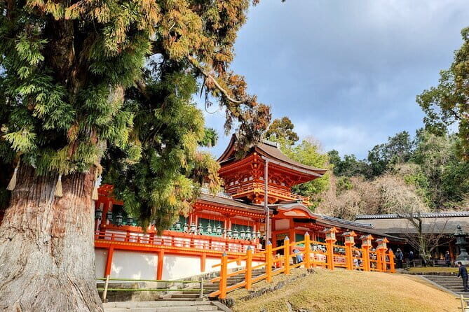 Osaka 8 Hours Tour Explore City and Minoh Falls - Who Should Book This Tour?