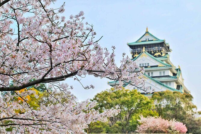 Osaka 8hr Private Tour with Government-Licensed Guide - What Travelers Say