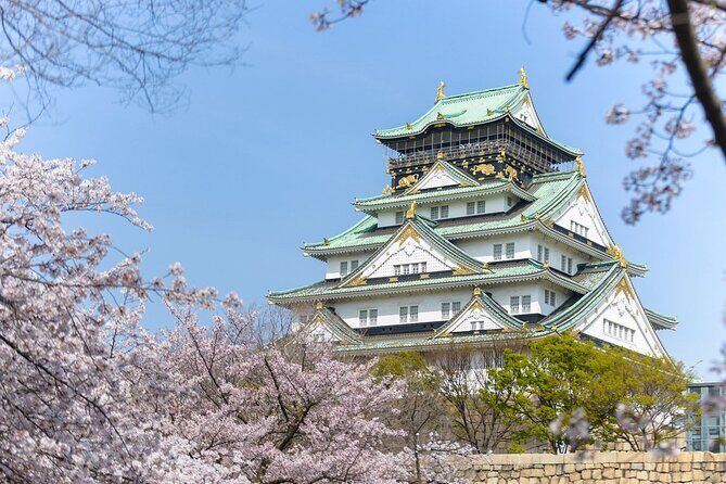 Osaka Airport Transfers : Osaka City to Kansai Airport KIX in Business Car - Who Will Benefit Most?