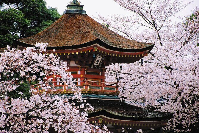 Osaka and Kansai Private Customized Day Tour - The Sum Up