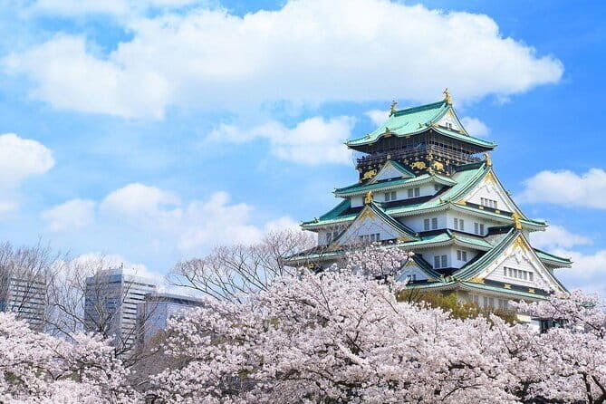 Osaka and Nara Attractive One Day private Tour - What the Reviews Tell Us
