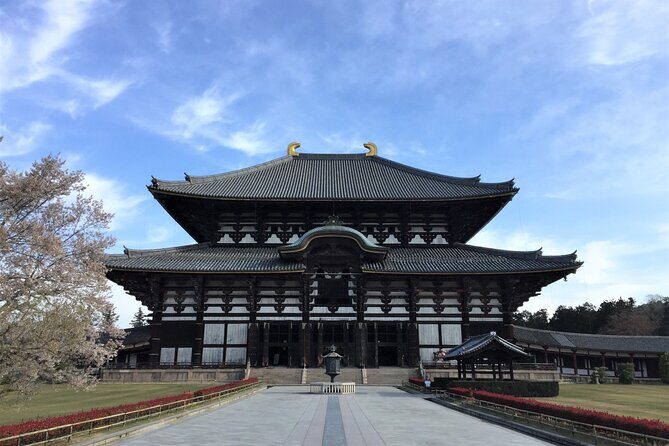 Osaka and Nara Day Tour with Private Transportation - An In-Depth Look at the Itinerary