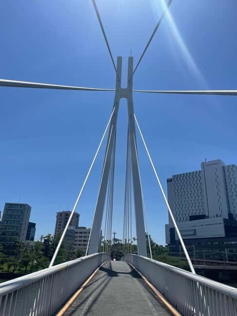 Osaka: Bike Adventure with Lunch - The Itinerary: A Well-Rounded Day