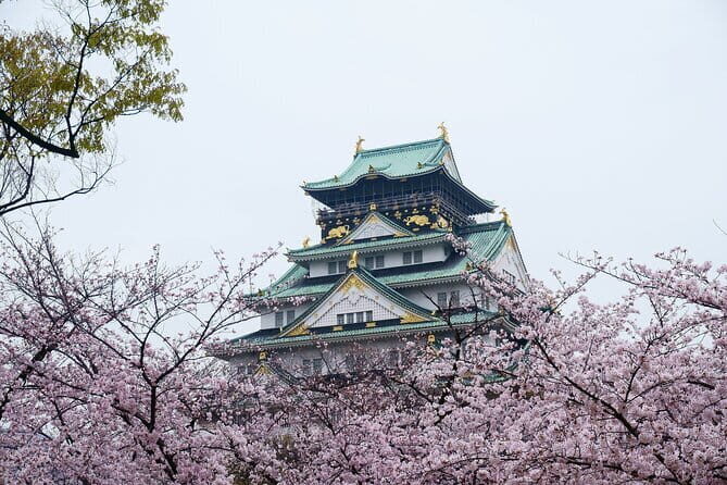 Osaka Castle 3 Hours Historical Walking Tour - Key Points
