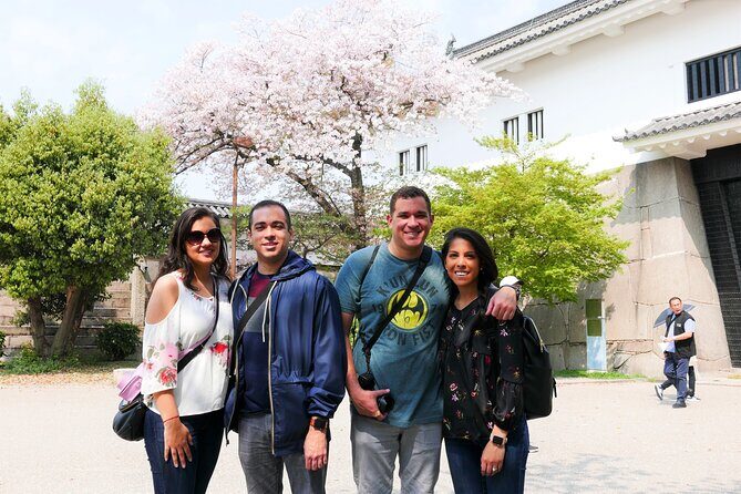 Osaka Castle and Sumiyoshi Taisha Shrine Private Half-Day Tour - The Experience in Detail