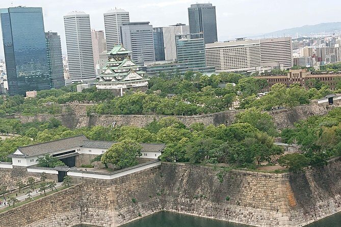 Osaka Castle & Dotonbori Lively One-Day Walking Tour - Key Points