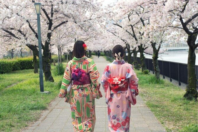Osaka Cherry Blossom Tour with a Local: 100% Personalized Private - An In-Depth Look at the Osaka Cherry Blossom Tour