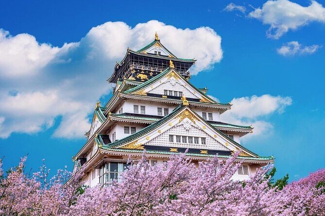 Osaka Cherry Blossom Tour with a Local: 100% Personalized Private - Final Thoughts