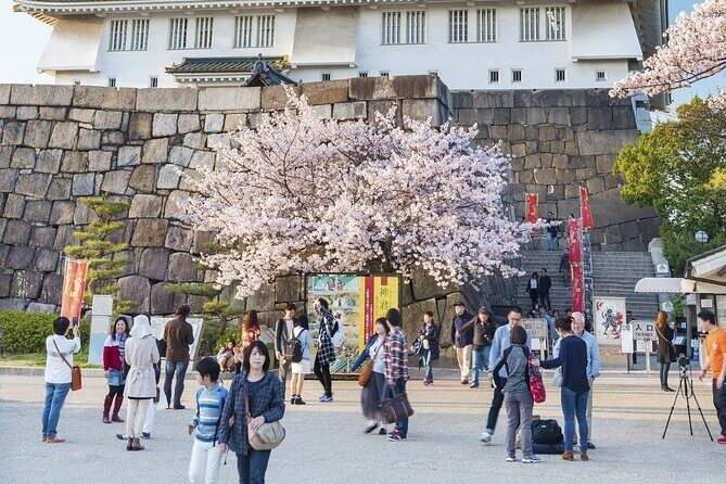 Osaka Cherry Blossom Tour with a Local: 100% Personalized Private - FAQs