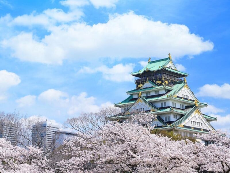 Osaka City English Private Tour Hotel Pickup Sightseeing - What You Can Expect from the Osaka Private Tour