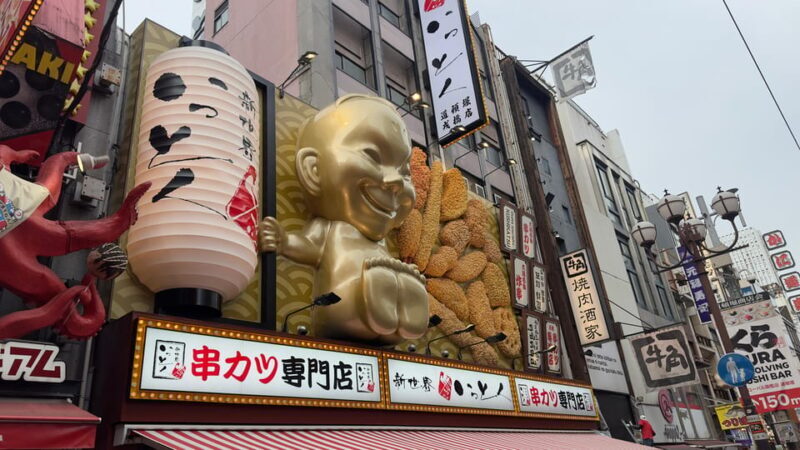Osaka City Highlights One Day Private Tour - What to Expect During Your Day