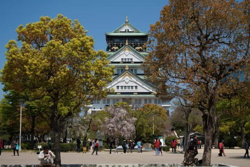 Osaka: Customizable Private Tour with Local Guide - What to Expect at Each Attraction