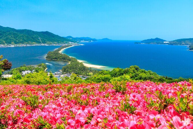 Osaka Day Tour: Amanohashidate & Ine Bay - Key Points