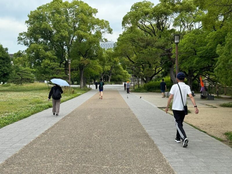 Osaka: Early Morning Osaka Castle Guided Tour, Avoid Crowds - The Practical Side: Price, Duration, and Accessibility