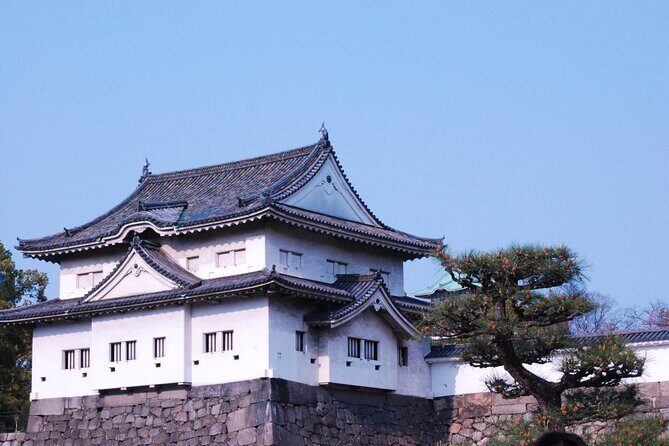 Osaka: Explore Osaka Castle Guided Tour - Who This Tour is Best For