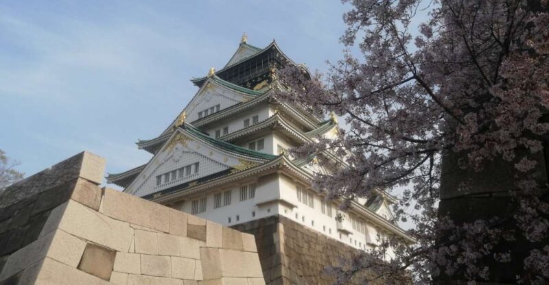 Osaka: Five Must-See Highlights Walking Tour & Ramen Lunch - Who Will Love This Tour?
