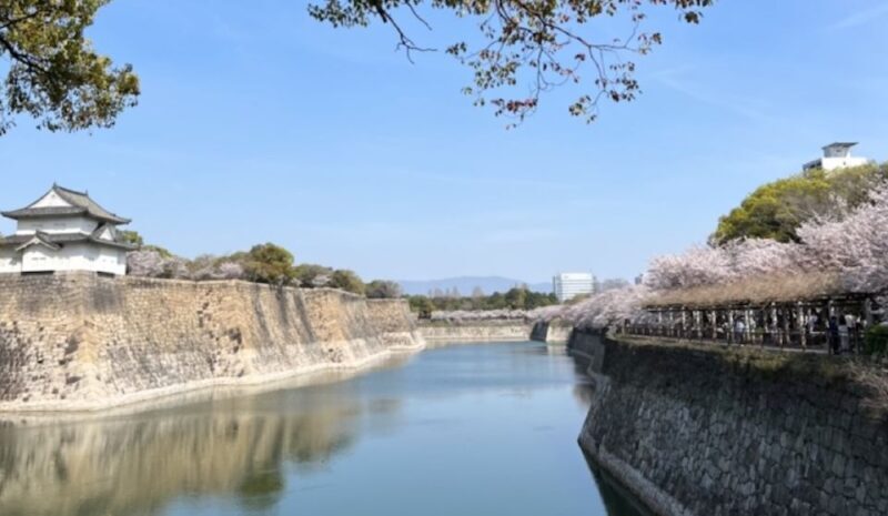 Osaka: Full-Day City Tour with a Guide and Public Transport - Authentic Experiences and Practical Tips