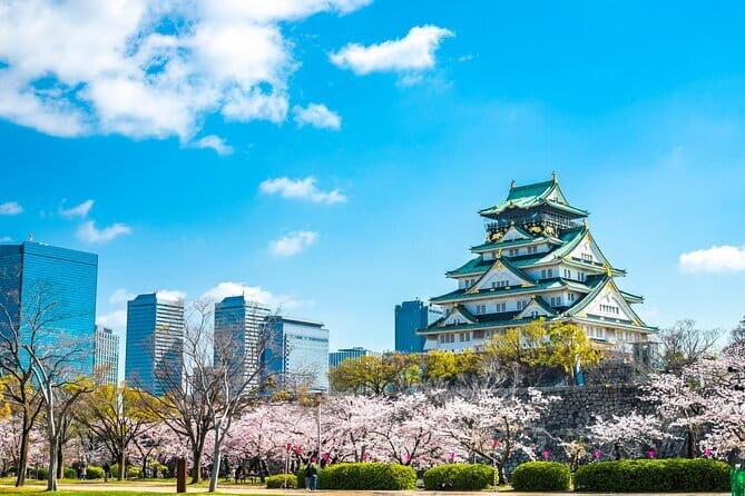Osaka full day Private Customizable Tour - Key Points