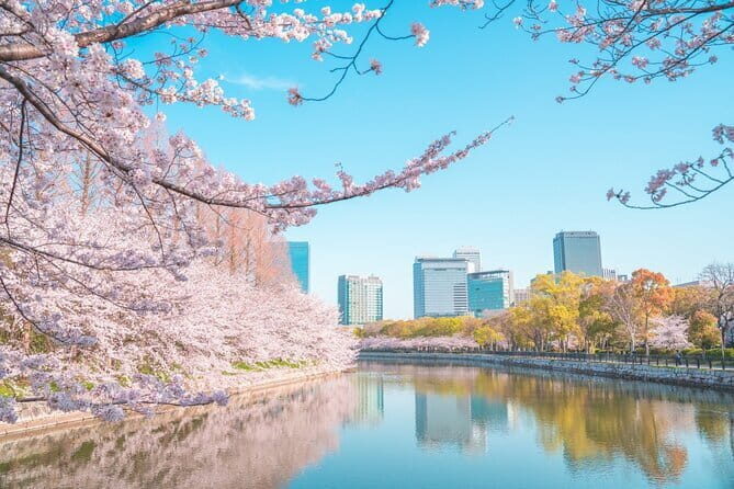 Osaka full day Private Customizable Tour - An In-Depth Look at the Itinerary