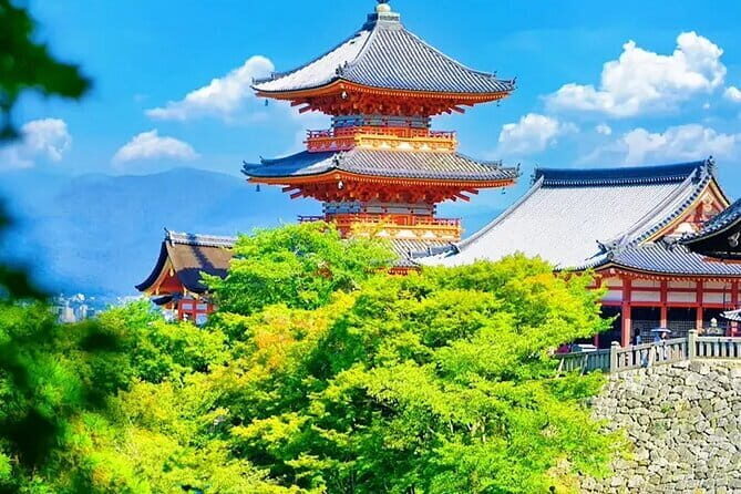 Osaka full day Private Customizable Tour - Cost Analysis and Value