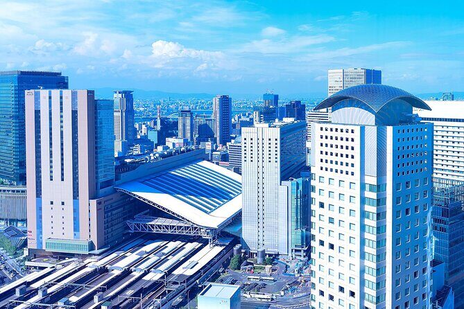 Osaka Full Day Walking Tour with Local Expert Guide - FAQ