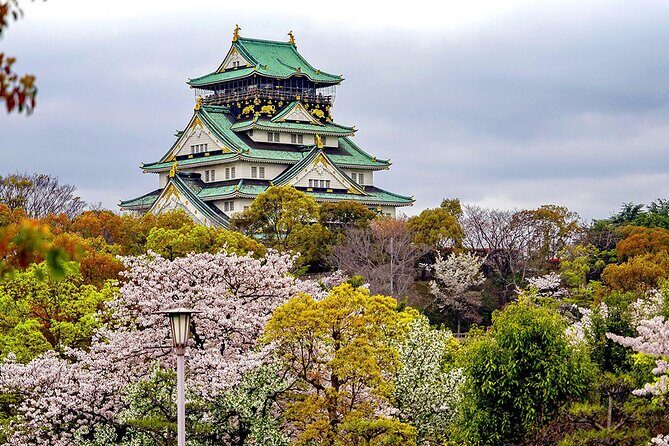 Osaka Half Day Walking Tour with an Expert Local Guide - Analyzing the Value