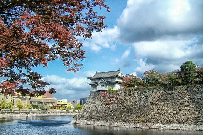 Osaka Half Day Walking Tour with an Expert Local Guide - Who Will Love This Tour?