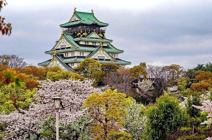 Osaka Half Day Walking Tour with an Expert Local Guide - FAQ