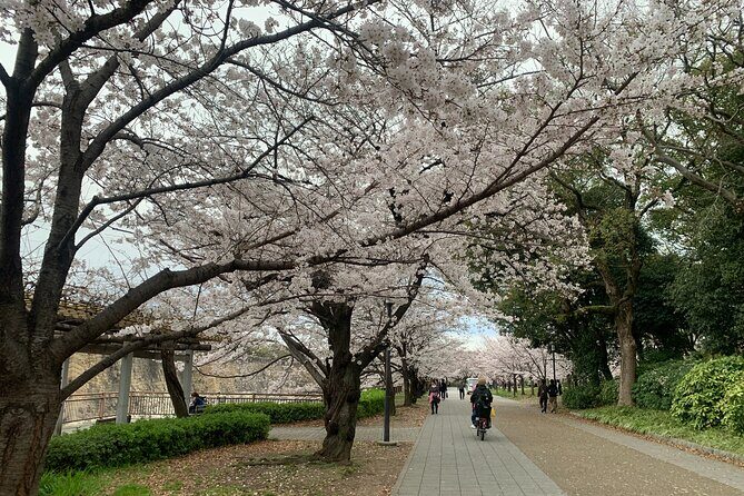 Osaka Highlights: 4Hrs Guided Walking Tour with a Native Expert - Exploring Osaka in Four Hours: What’s Included