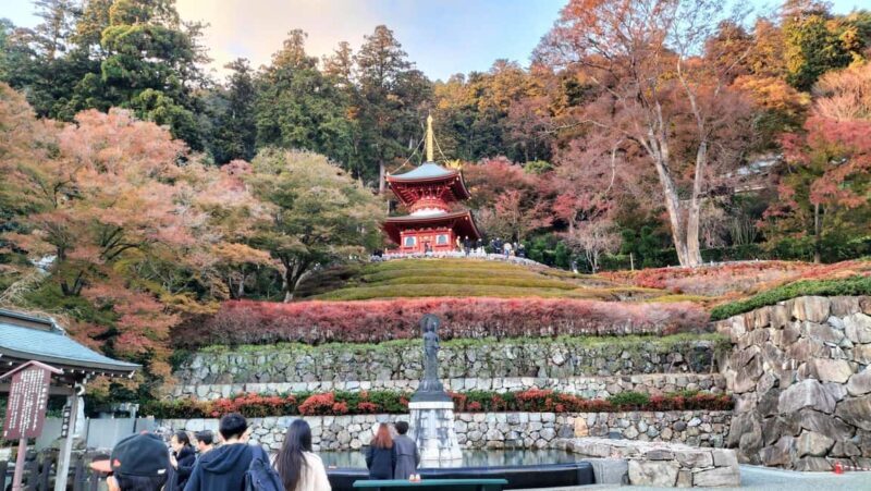 Osaka: Katsuo-ji Temple with Hundreds of Daruma Figures - Practical Aspects of the Tour