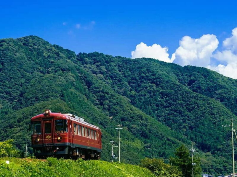 Osaka/Kyoto: Arashiyama, Amanohashidate & Tango Railway Tour - Key Points