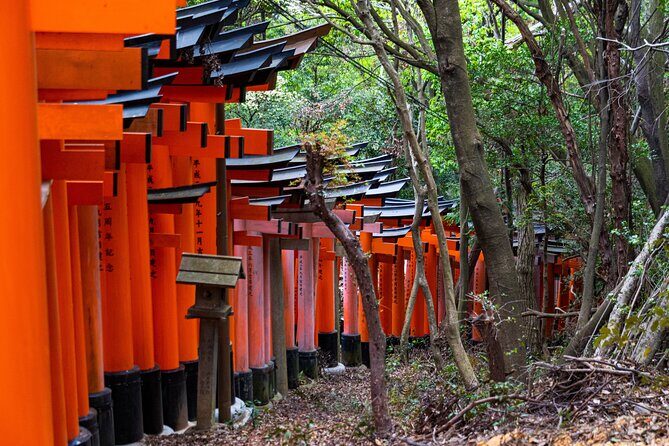 Osaka/Kyoto: Arashiyama, Fushimi Inari & Nara Park Day Trip - Final Thoughts