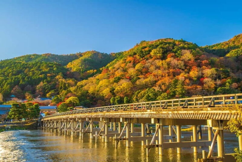 Osaka/Kyoto: Arashiyama, Nara & Fushimi Inari Shrine w/Lunch - Final Thoughts on Value and Experience