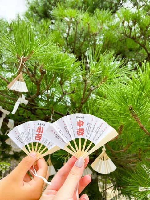 Osaka: Kyoto By The Sea with Amanohashidate & Ine no Funaya - Who Should Consider This Tour?